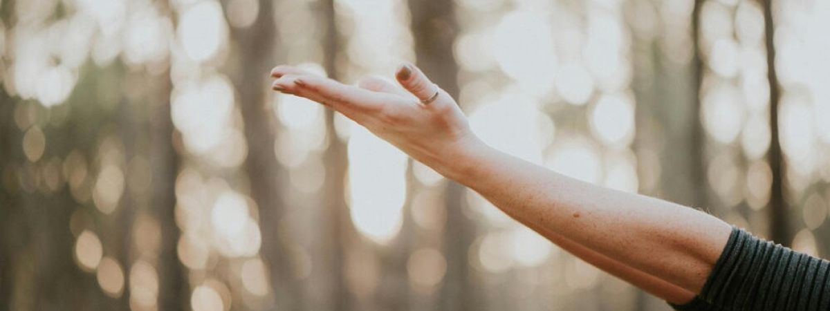 a women stands in the forest reaching her hands to the air