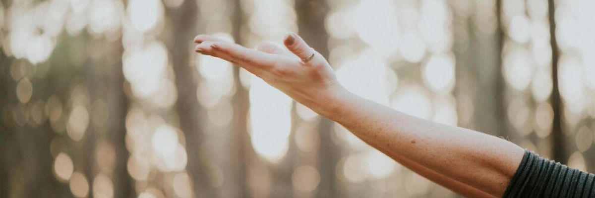 a women stands in the forest reaching her hands to the air