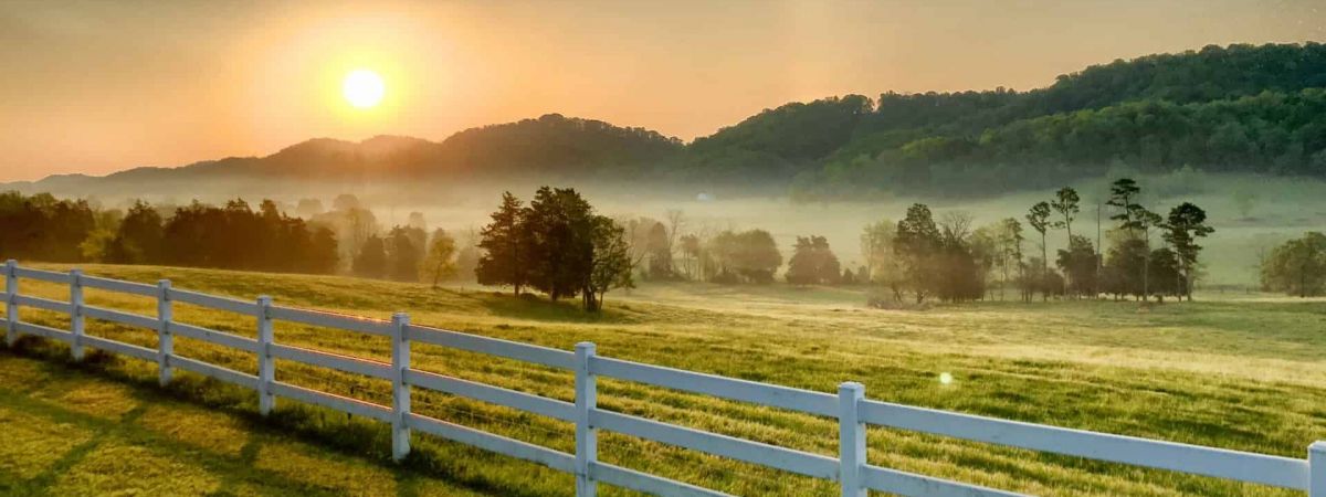 A field in Tennessee. Morristown rehab.