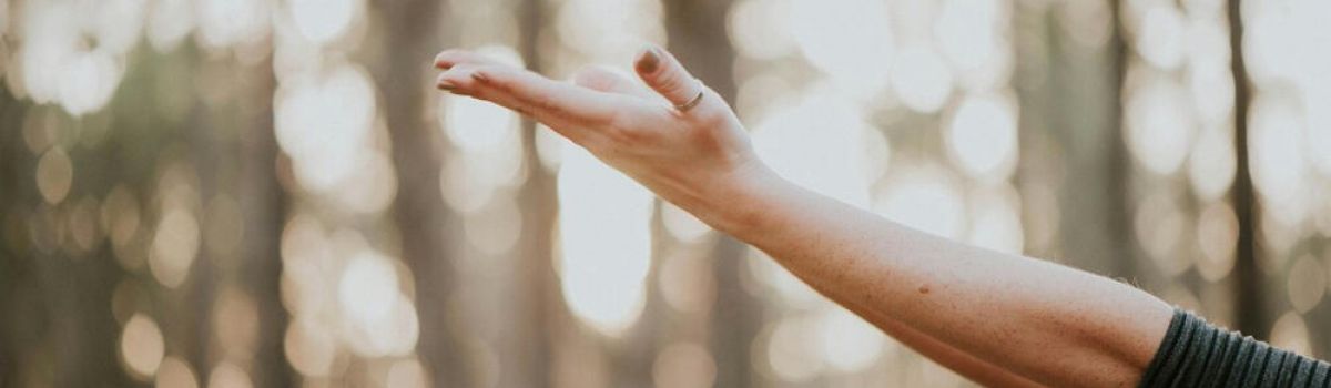 a women stands in the forest reaching her hands to the air