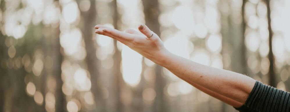 a women stands in the forest reaching her hands to the air